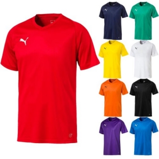 Dres Puma LIGA Core Jersey 703509