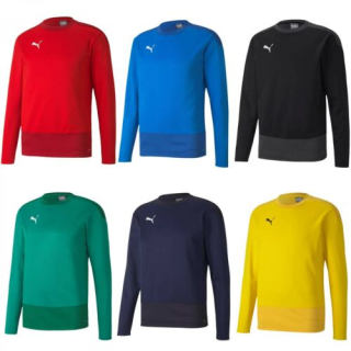 Puma teamGOAL 23 Training Sweat JR