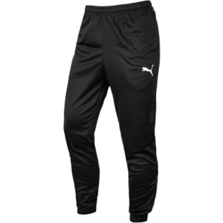 Puma teamRISE SR